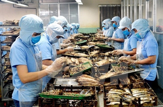 附圖：2018年前兩月越南水產(chǎn)品出口額同比增長(zhǎng)近30%。（圖片來源：越通社）